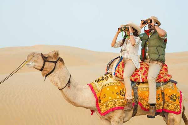 Camel Safari Jaisalmer