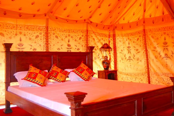 One Night Camp Stay Tour